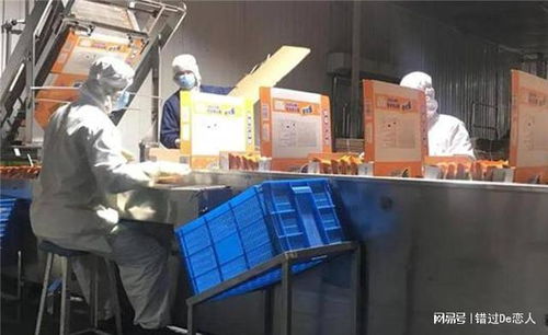 匠心铸就康庄道 河南商人的方便面王国与社会担当